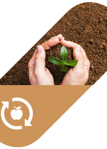 Food Food Waste Img 1
